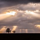 Nach dem Regen spitzt die Sonne nochmal durch die Wolken 