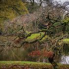 nach dem Regen - Tierpark Hagenbeck/Hamburg