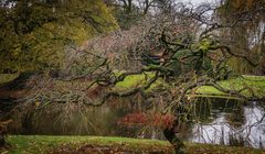 nach dem Regen - Tierpark Hagenbeck/Hamburg