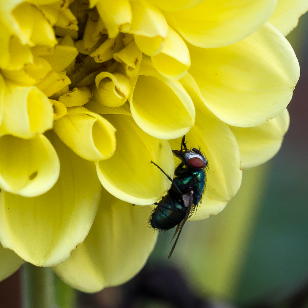 nach dem Regen _W2R2125-1799