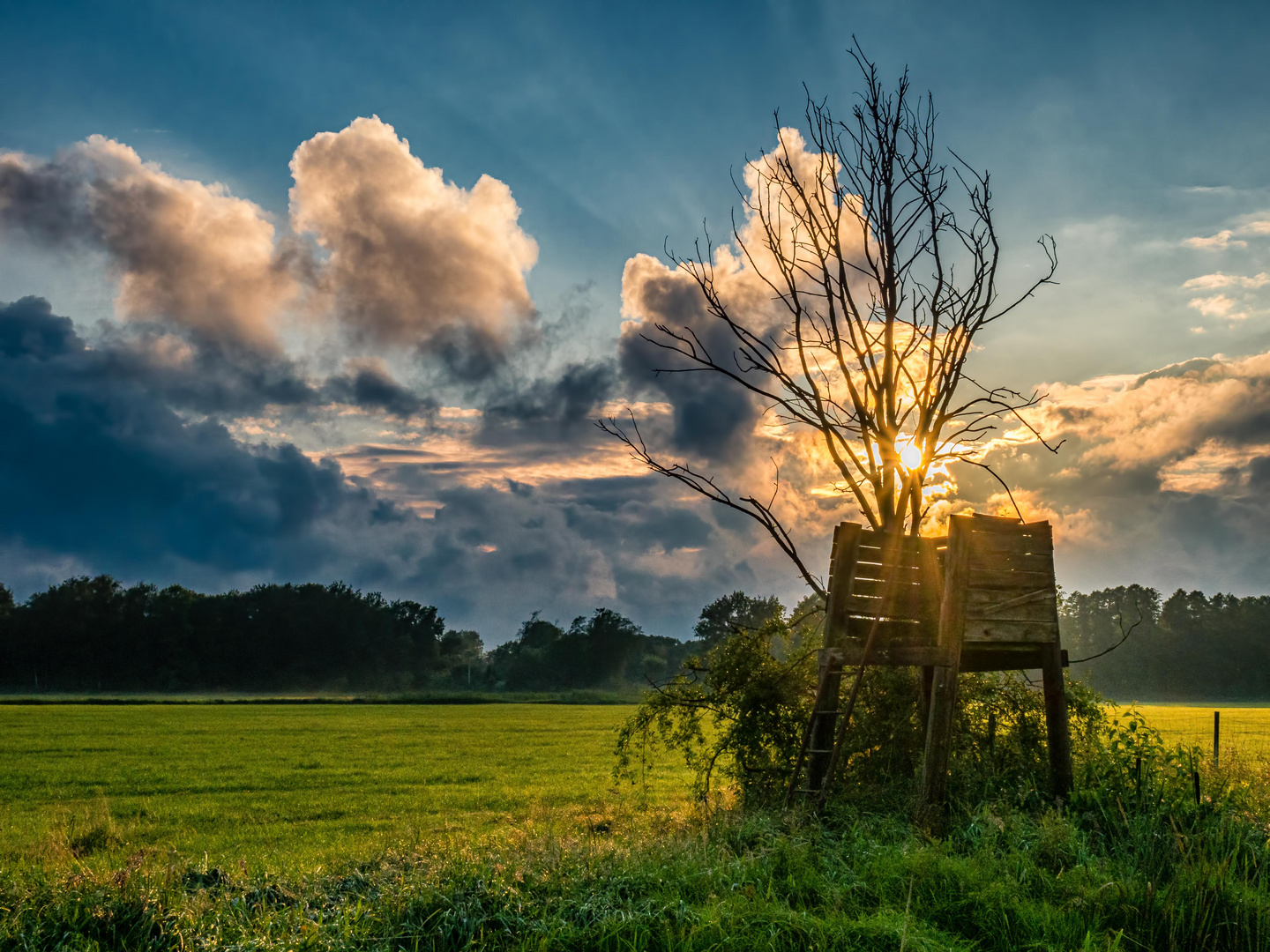 Nach dem Regen3