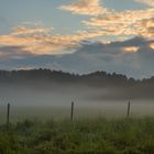 Nach dem Regen6