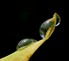 Nach dem Regenguss