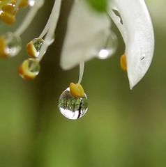 Nach dem Regenguss