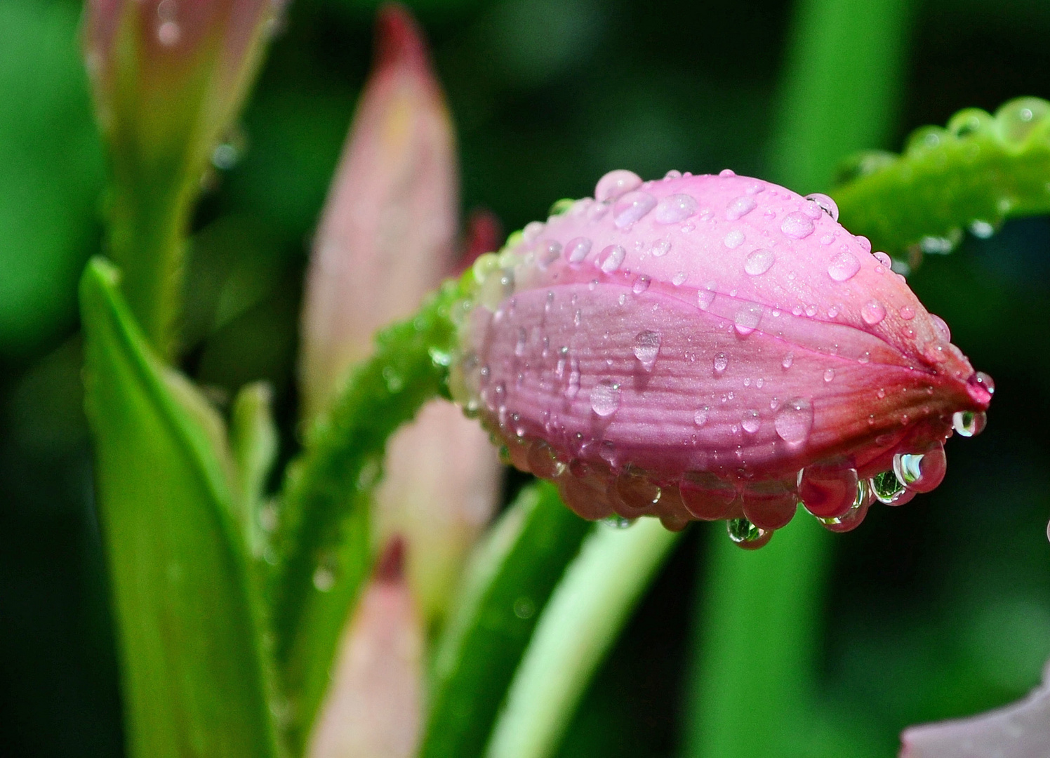 Nach dem Regenguss...