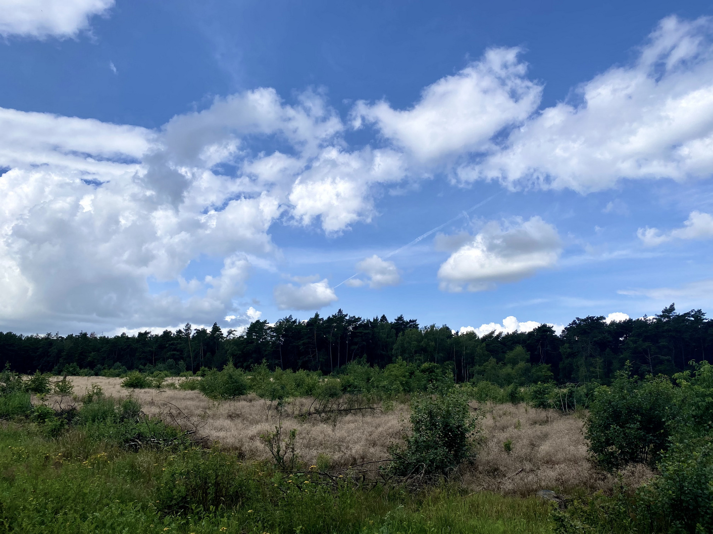 nach dem Regenguss