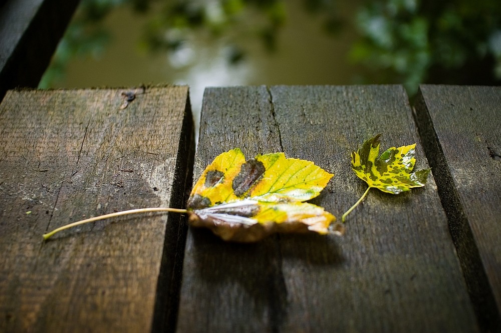 Nach dem Regenguss