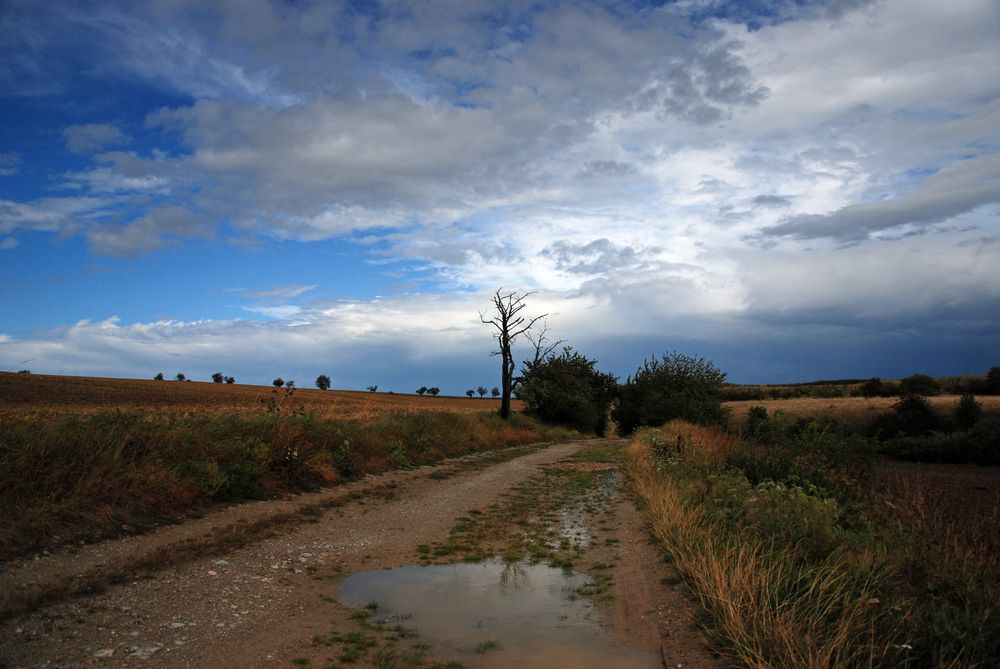 nach dem Regenguss