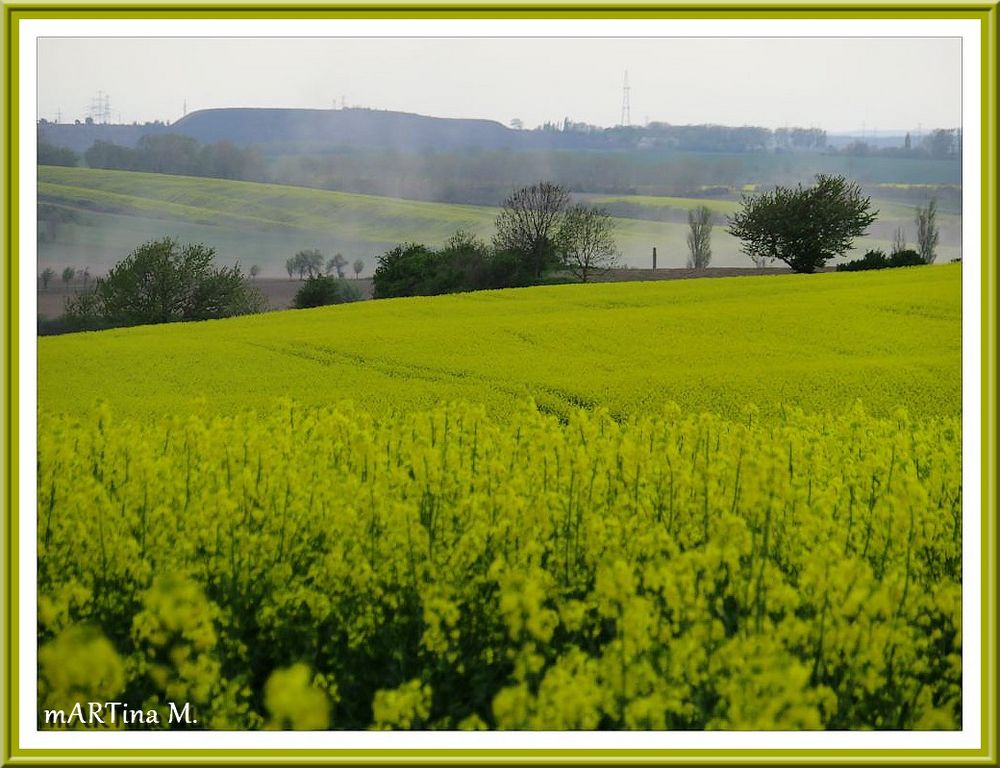 Nach dem Regenguss (mit Gedicht)