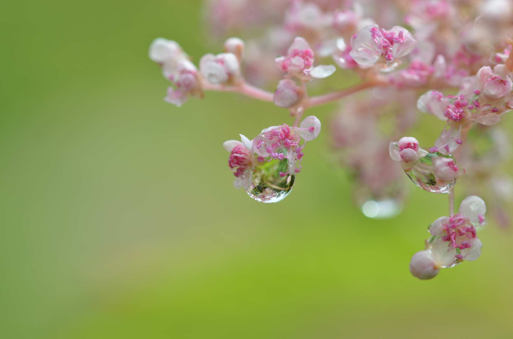 nach dem Regenschauer