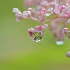 nach dem Regenschauer