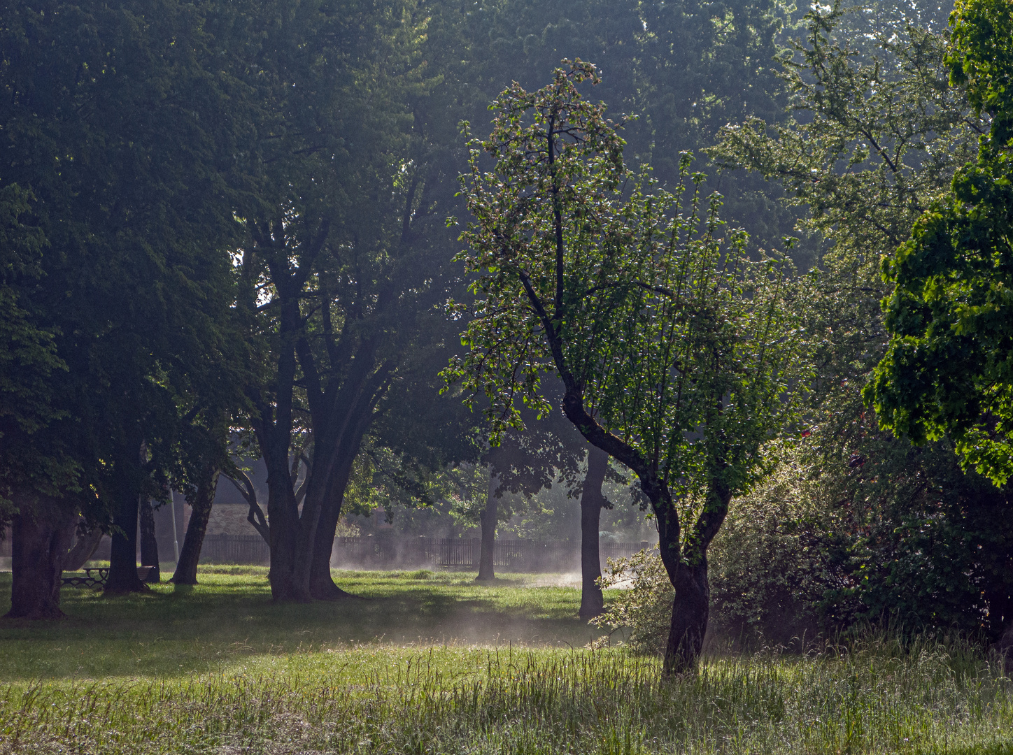 Nach dem Regenschauer