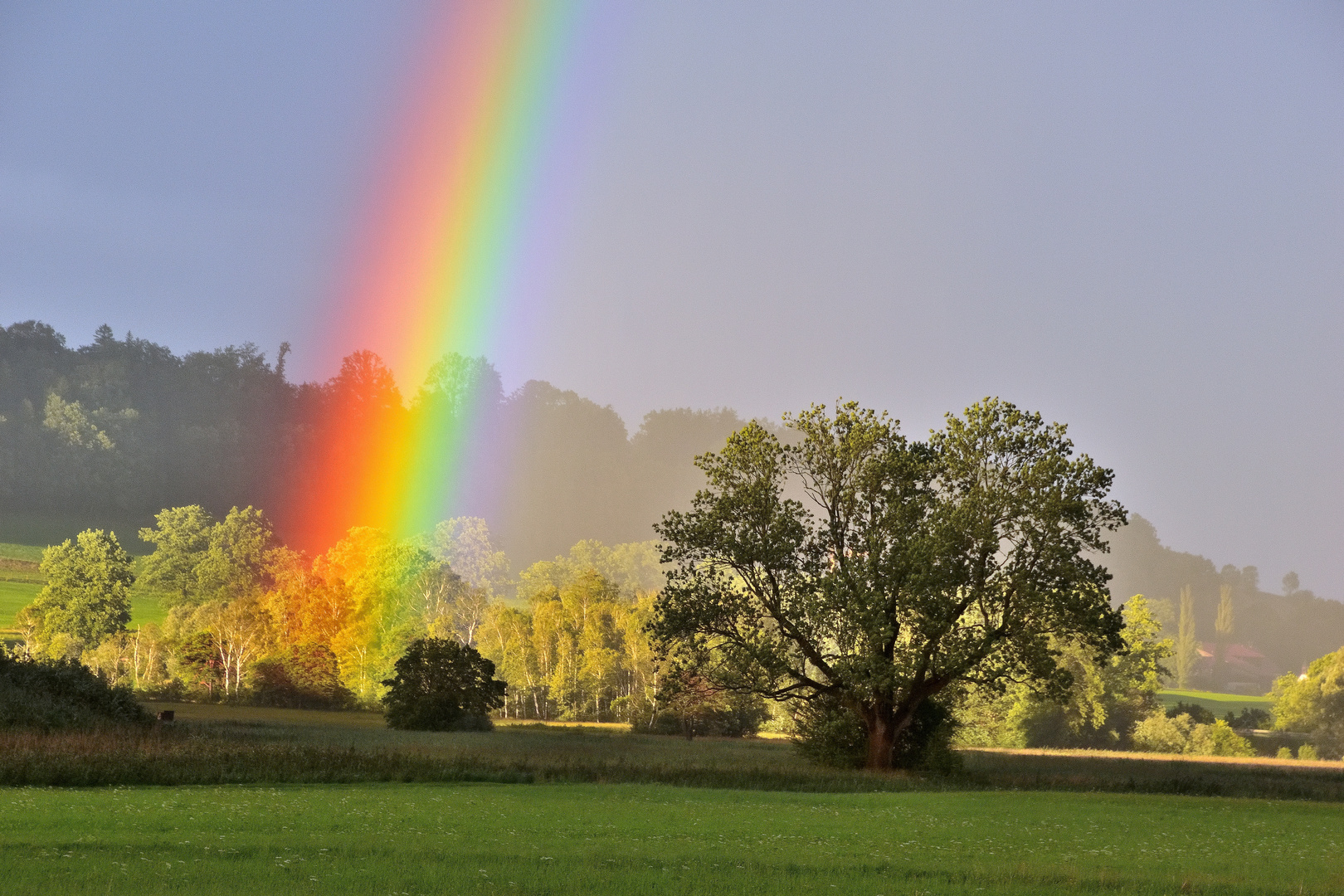 Nach dem Regenschauer