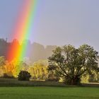 Nach dem Regenschauer