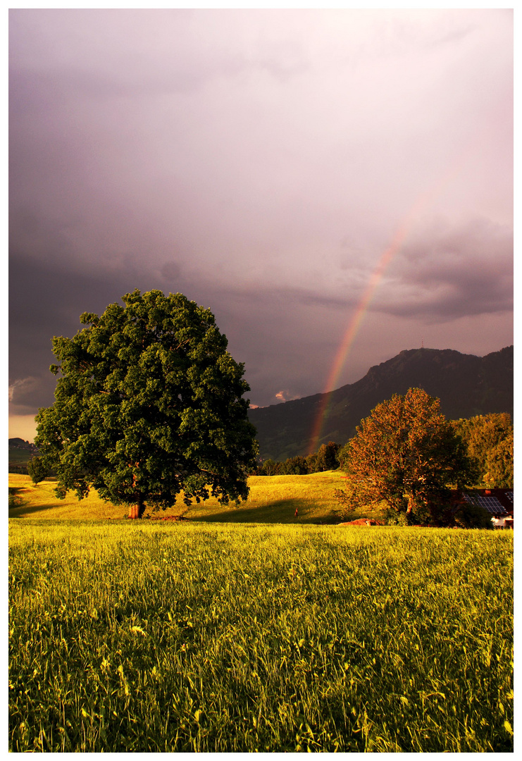 nach dem Regenschauer