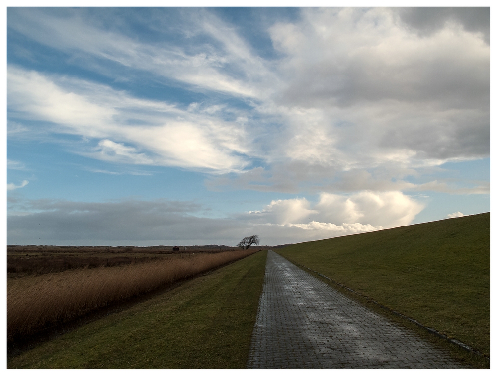 Nach dem Regenschauer