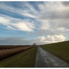 Nach dem Regenschauer