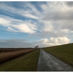 Nach dem Regenschauer