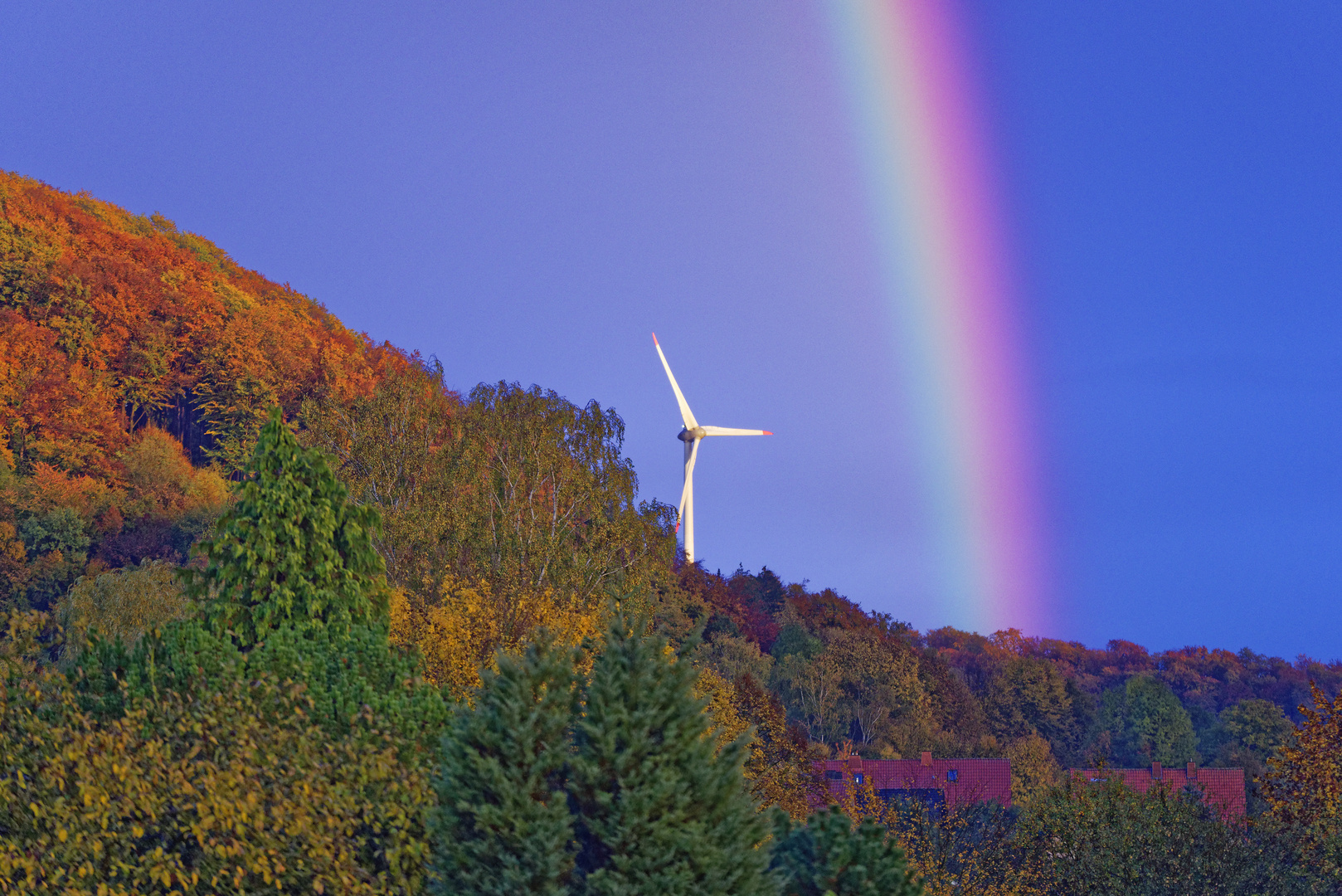 Nach dem Regenschauer