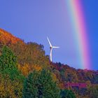 Nach dem Regenschauer