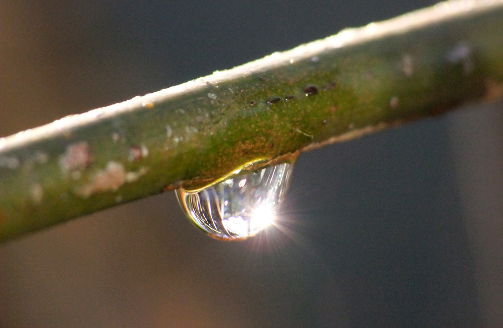 nach dem Regen/Schnee...