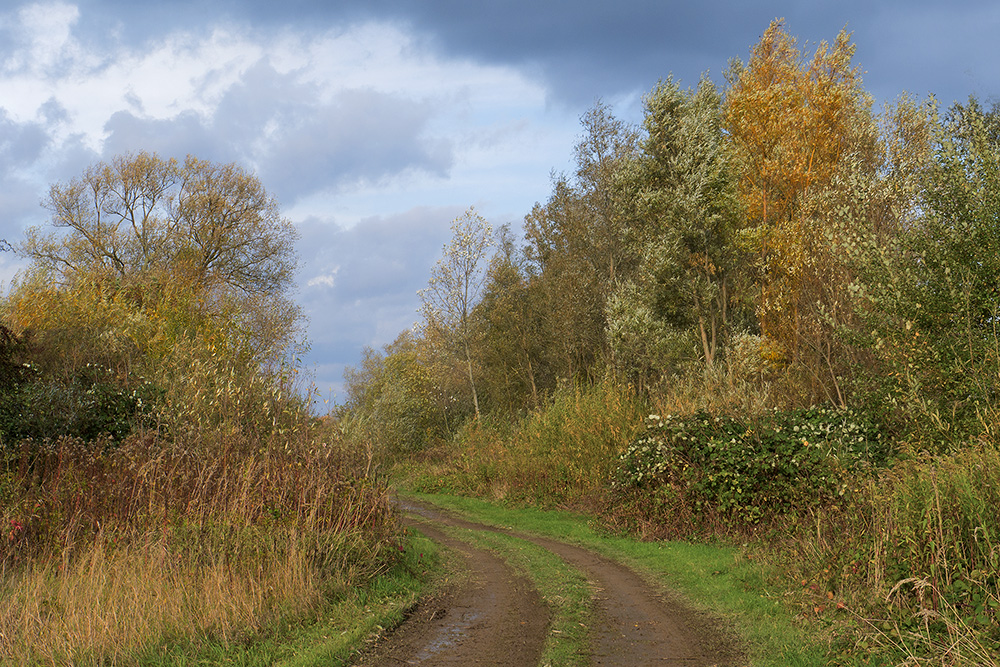 nach dem Regen....vor dem Regen ..