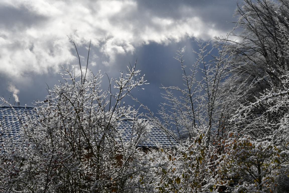 nach-dem-Schnee