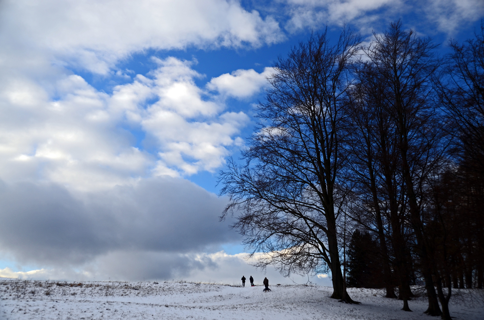 nach dem Schneeschauer