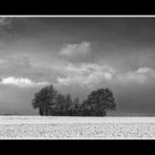 Nach dem Schneeschauer