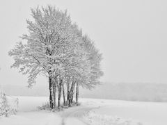 Nach dem Schneesturm