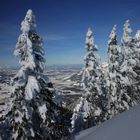 Nach dem Schneesturm