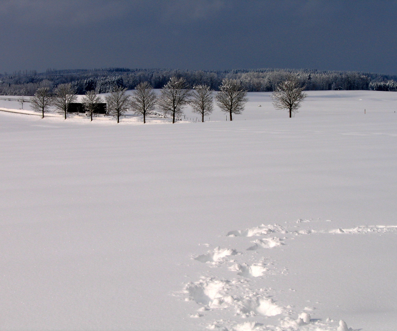 Nach dem Schneesturm