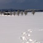 Nach dem Schneesturm