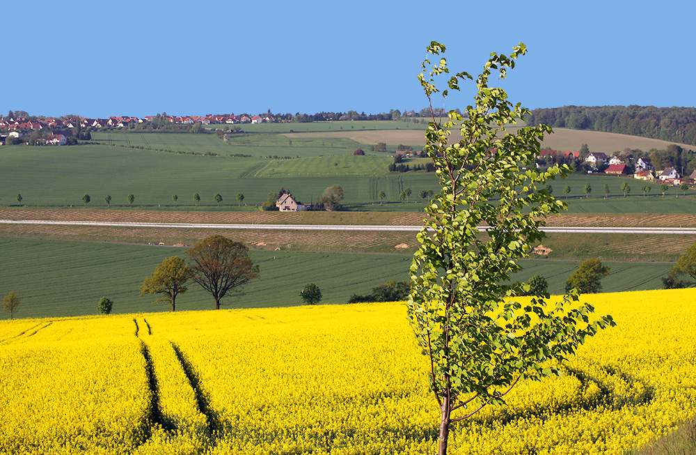 Nach dem schönen Wind und der Trockenheit sehnt man sich zurück vom April