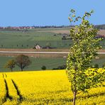 Nach dem schönen Wind und der Trockenheit sehnt man sich zurück vom April