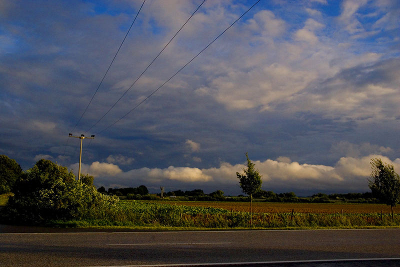 nach dem Sommer-Regen