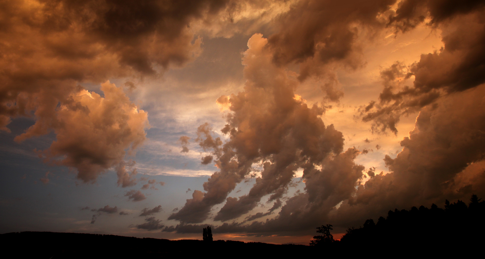 Nach dem Sommergewitter