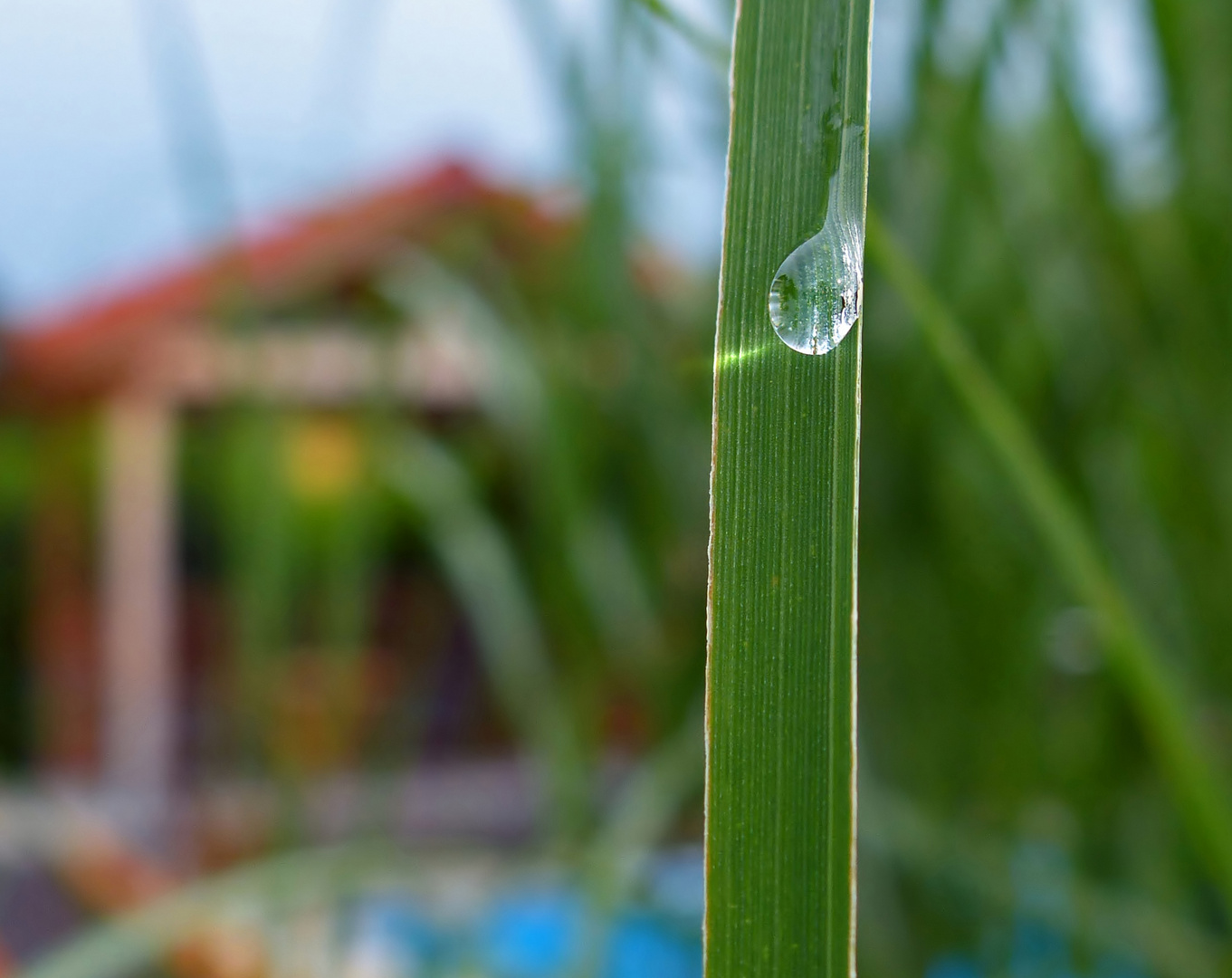 Nach dem Sommergewitter