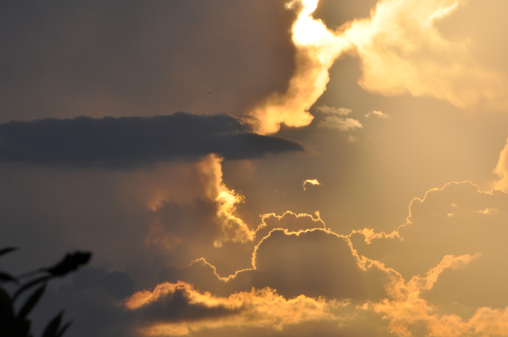 nach dem Sommergewitter