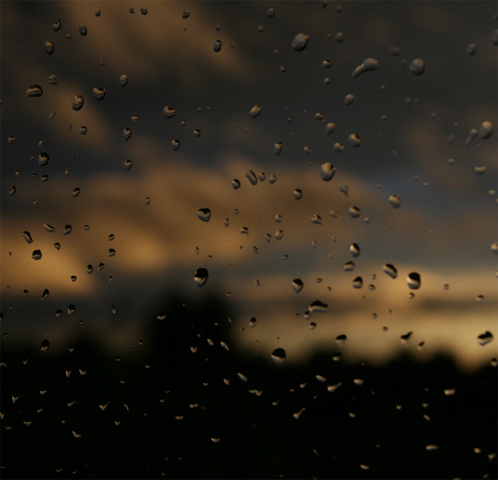 Nach dem Sommergewitter