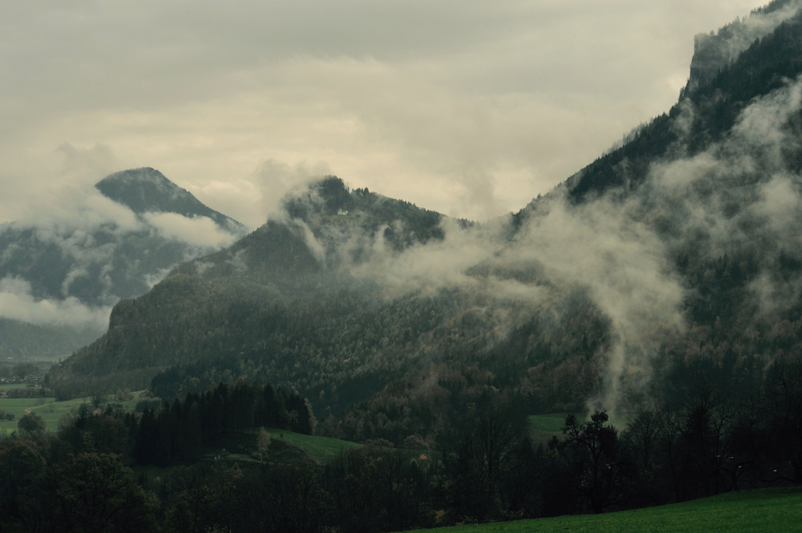 nach dem sommerregen 