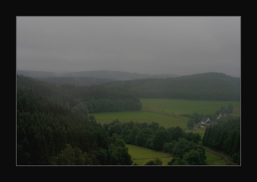 Nach dem Sommerregen... - After the summer-rain...