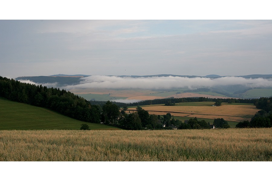 Nach dem Sommerregen