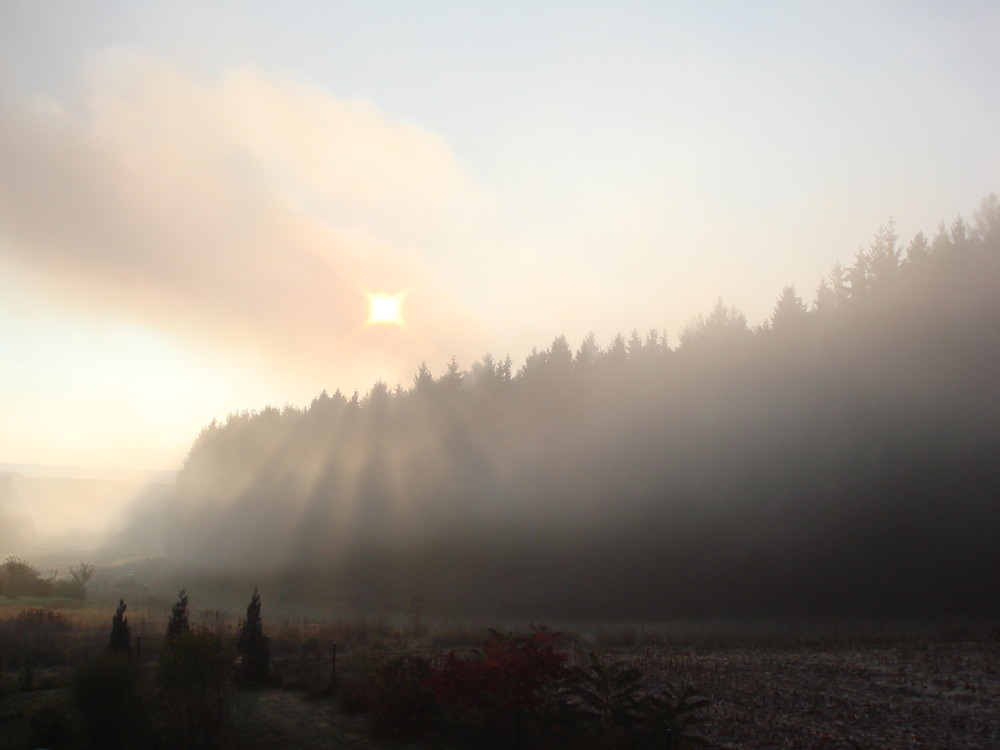 Nach dem Sonnenaufgang