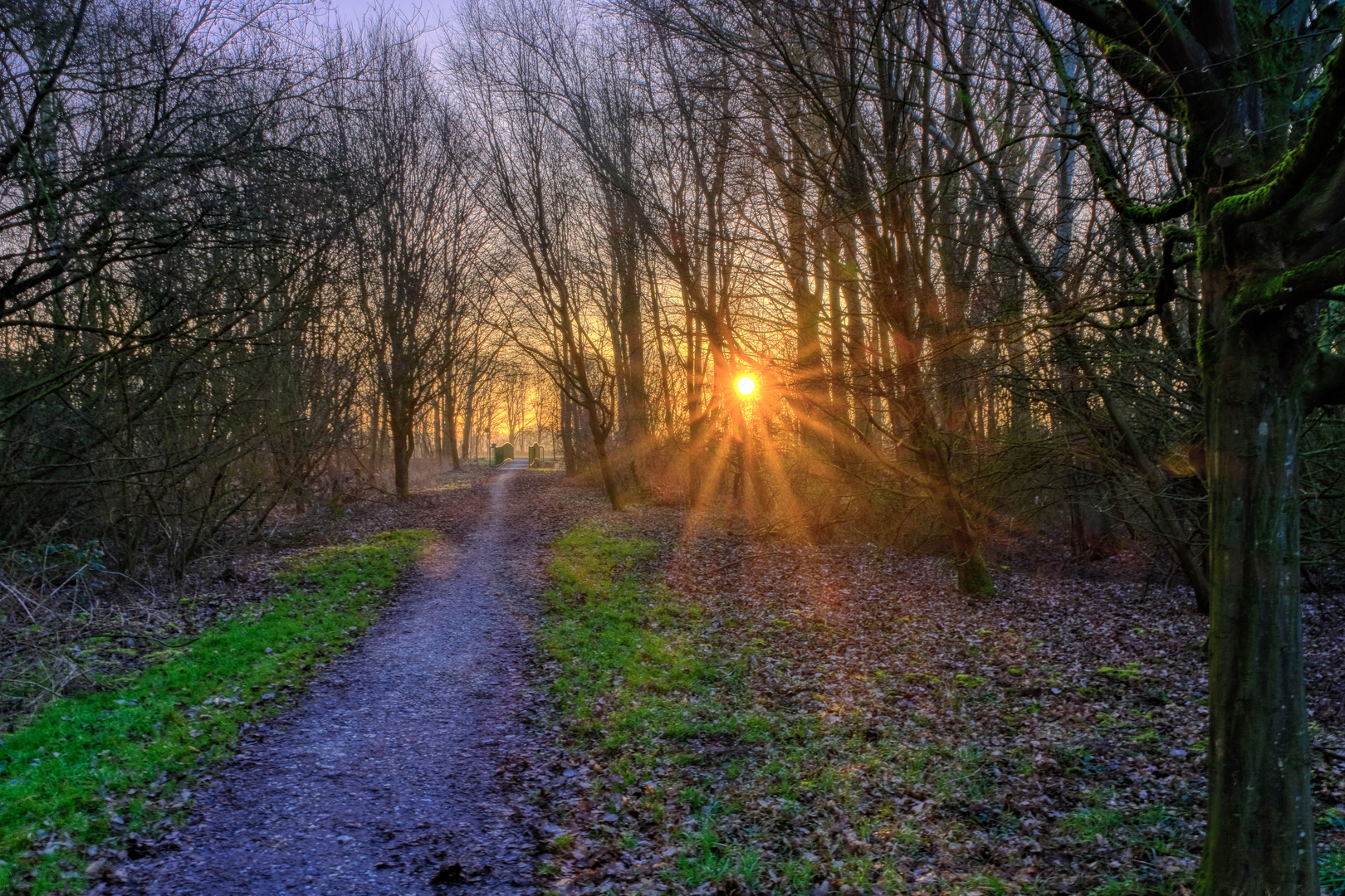 nach dem Sonnenaufgang