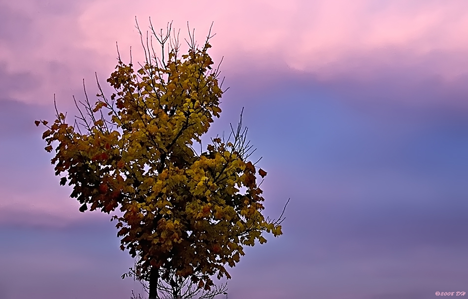 Nach dem Sonnenaufgang