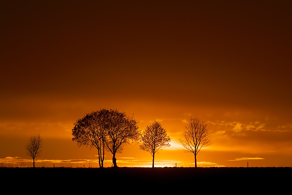 Nach dem Sonnenuntergang