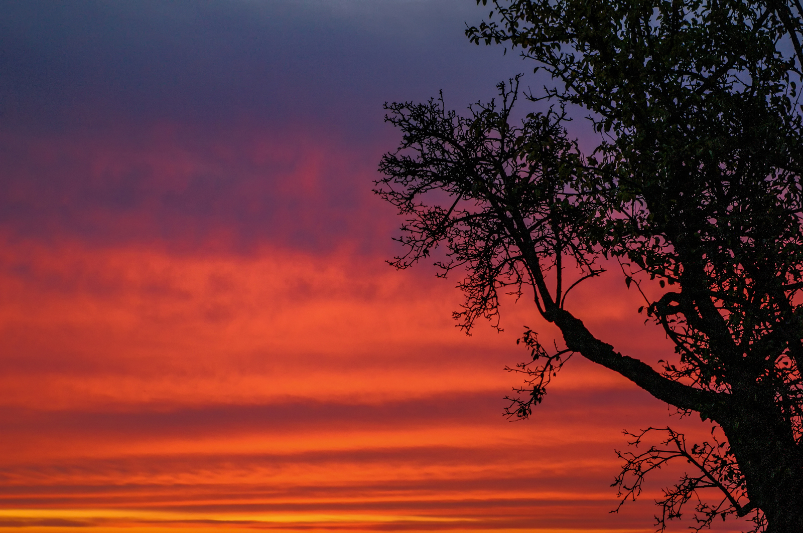 Nach dem Sonnenuntergang