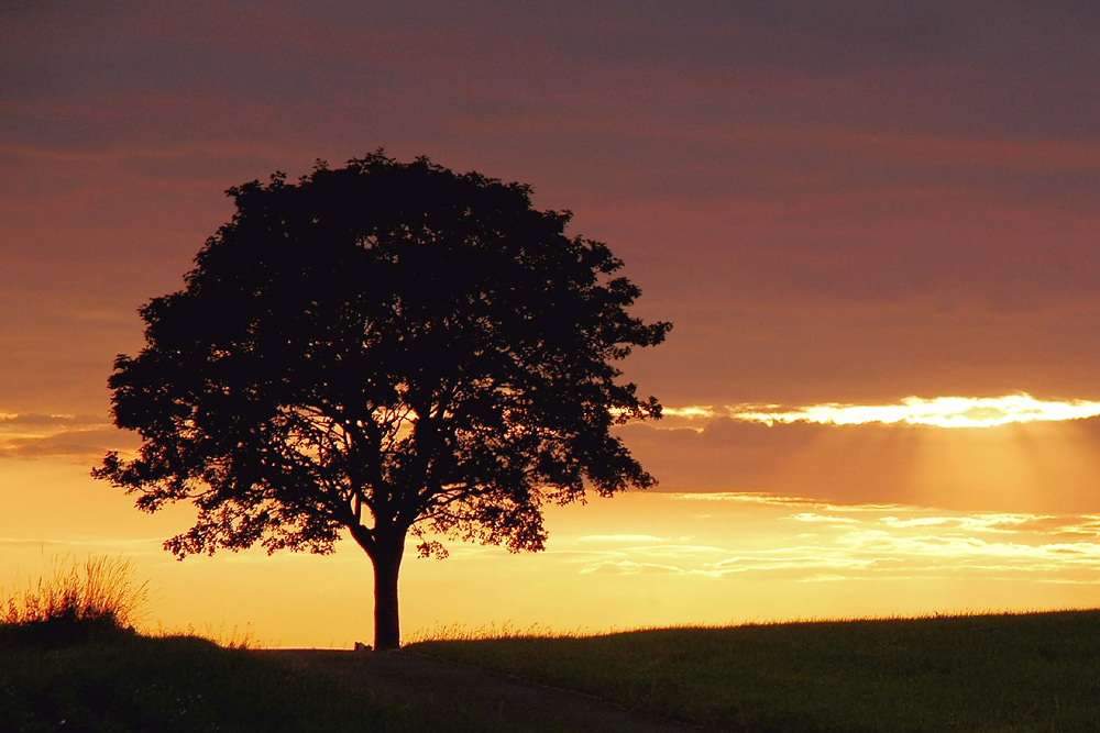 Nach dem Sonnenuntergang