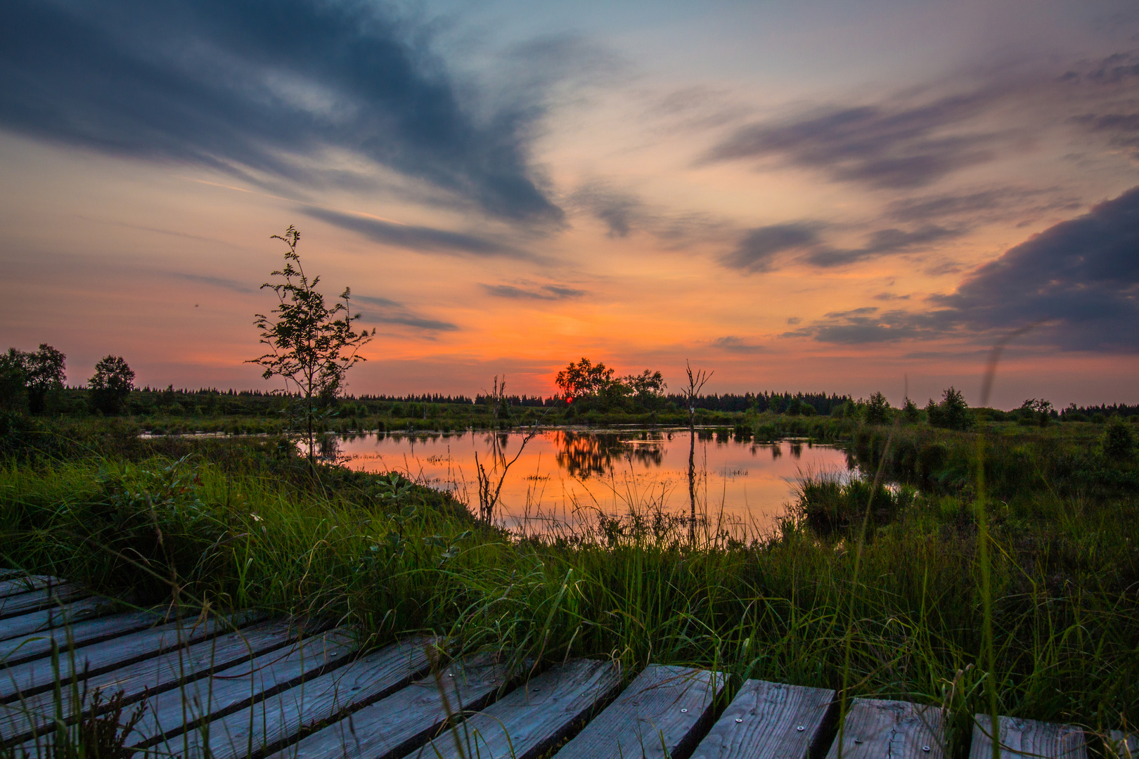 nach dem Sonnenuntergang am Brackvenn